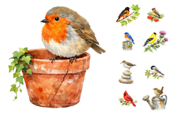Watercolor Garden Birds Clipart Set Product Image 1