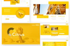 Citrus Multipurpose Creative PowerPoint Template Product Image 3