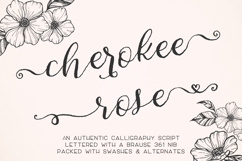 Cherokee Rose Calligraphy Script Product Image 1