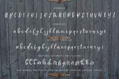 Farmhouse Life Font Duo - Script and Serif Product Image 10