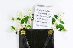 Sweet Jasmine Script with Swashes Product Image 2