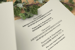 Magnolia Tree Serif Font Duo Product Image 8