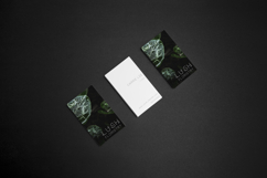 Lush Sans Product Image 2