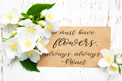 Sweet Jasmine Script with Swashes Product Image 3