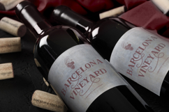 Conquistador Serif Product Image 3