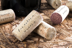 Oh Savannah Script Product Image 4