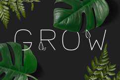 Lush Sans Product Image 3