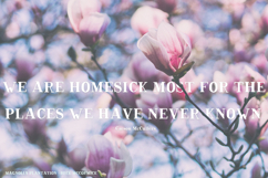 The Rustic Font Bundle Product Image 6