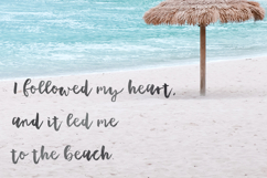 Plumeria Script Font Product Image 4