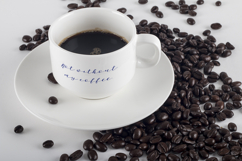 Oh Savannah Script Product Image 5