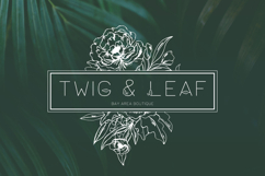 Lush Sans Product Image 4