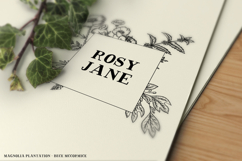 Magnolia Tree Serif Font Duo Product Image 7