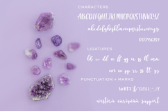 Auttie Script Product Image 6