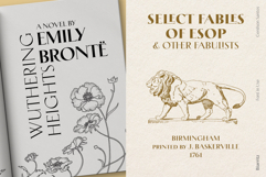 Two classic book cover mockups. Left: "Wuthering Heights" with floral line art and vertical text. Right: "Select Fables of Esop" featuring a gold-toned lion illustration on textured paper.
