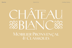 Elegant branding for "Château Blanc" furniture. White high-contrast serif typography with decorative floral flourishes on a warm tan background, emphasizing a luxury and classic French aesthetic.