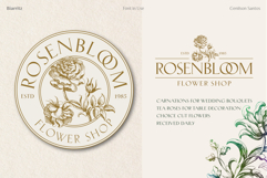 Brand identity for "Rosenbloom" florist, featuring botanical rose sketches and classic serif typography. The layout uses green and purple gradients for an elegant, organic feel.