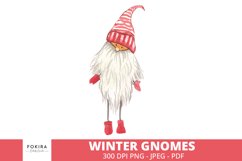 Watercolor Winter Gnomes Sets Product Image 6