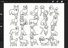 Cartoon Dogs Outlines Procreate Brush Stamps, 20 Dog Brushes Product Image 2