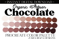 Organic Artisan Chocolate - Procreate Color Palette Product Image 1