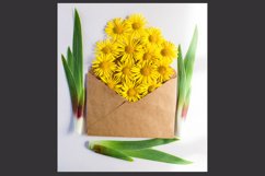 paper envelope with fresh summer flowers Product Image 1