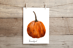 Hand Painted Watercolor Pumpkin PNG Clipart Product Image 6