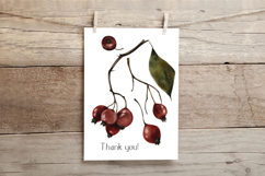 Hand Painted Rosehip Watercolor PNG Clipart Set Product Image 7