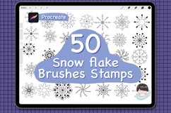50 Snow flake brush stamps for procreate Procreate brushes Product Image 1