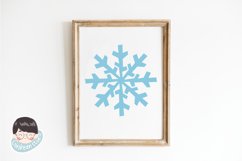 50 Snow flake brush stamps for procreate Procreate brushes Product Image 6