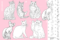 165 Procreate Cat Animal stamp brushes Product Image 5