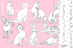 165 Procreate Cat Animal stamp brushes Product Image 6