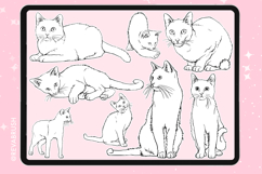 165 Procreate Cat Animal stamp brushes Product Image 4