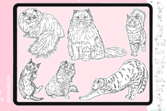 165 Procreate Cat Animal stamp brushes Product Image 7