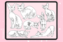 165 Procreate Cat Animal stamp brushes Product Image 2