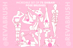 Procreate Adult Shibari Pose Mature Brushes Product Image 2