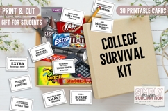 College Survival Kit Printable Cards | 30 Premade Gift Cards Product Image 1