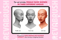 Procreate Female Portrait Face Anatomy Realistic brushes Product Image 2