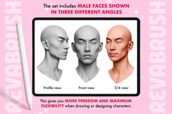 Procreate Male Head Portrait Pose Anatomy brushes Product Image 3