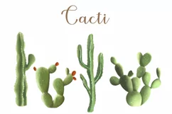 Llama Clipart, Cute Llamas, Alpaca Clipart, Cacti PNG Product Image 4