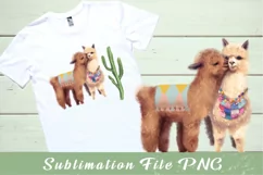 Llama Clipart, Cute Llamas, Alpaca Clipart, Cacti PNG Product Image 6