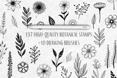 130 Botanical Stamps For Procreate Product Image 2