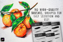 50 Retro Pencil Procreate Brushes Product Image 3