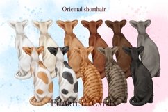 Cats 8 Breeds lipart Set, Cats Back View Product Image 6