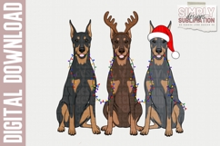 Doberman Christmas PNG, Sublimation, Dtf Product Image 3