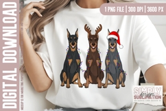 Doberman Christmas PNG, Sublimation, Dtf Product Image 1