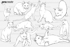 Procreate animals cats stamps brushes Product Image 2
