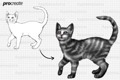 Procreate animals cats stamps brushes Product Image 3