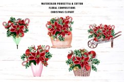 Poinsettia and cotton illustrations Product Image 2