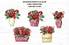 Poinsettia and cotton illustrations Product Image 3