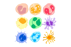 Immune system cells defending human body illustration Product Image 1