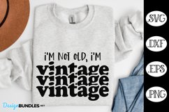 I'm Not Old I'm Vintage SVG | Sarcastic SVG Product Image 1